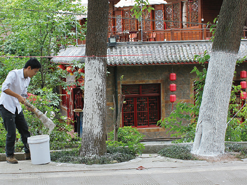 涂白剂比赛