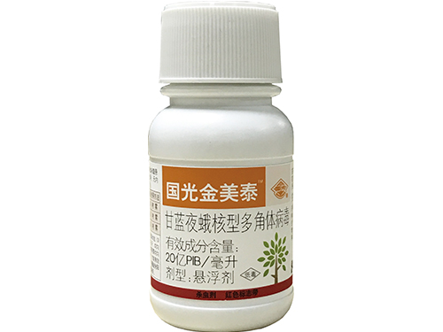 国光金美泰100g