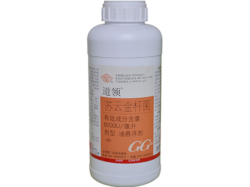 道领1L