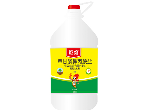 炬焰单页