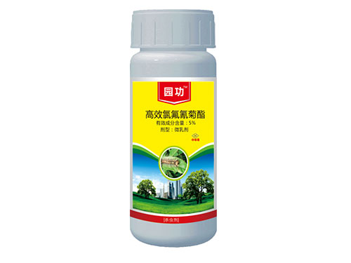 园功