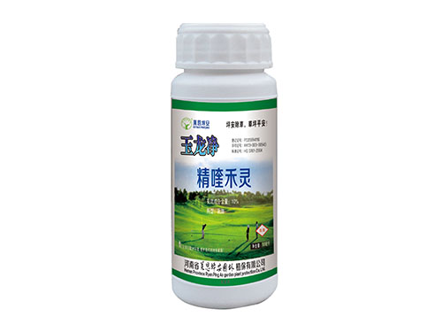 玉龙净