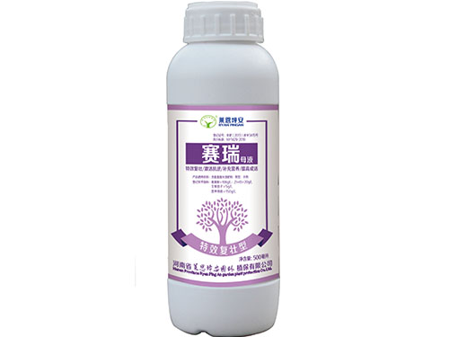 赛瑞