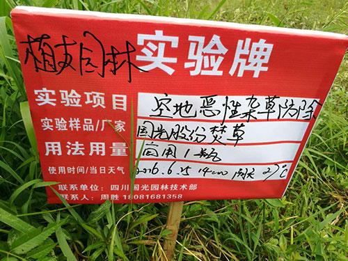 恶性杂草防除3