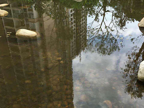 水中藻类防除6