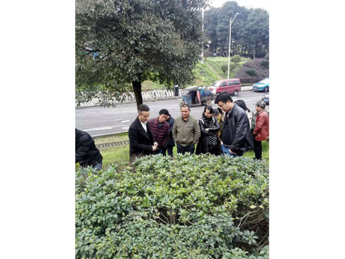 荷塘区养护讲座 (3)