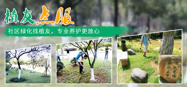 株洲植友职业培训学校有限公司