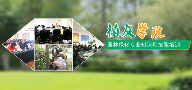 株洲植友职业培训学校有限公司