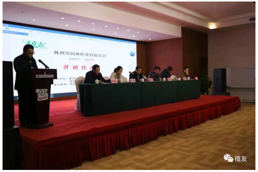 株洲植友职业培训学校有限公司_株洲园林绿化养护|株洲绿化管理|病虫害防治哪里的好|株洲园林绿化工程公司|白蚁防治病虫害治理