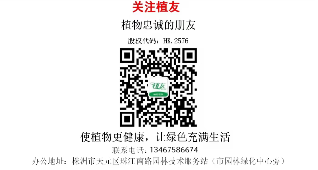株洲植友职业培训学校有限公司_株洲园林绿化养护|株洲绿化管理|病虫害防治哪里的好|株洲园林绿化工程公司|白蚁防治病虫害治理