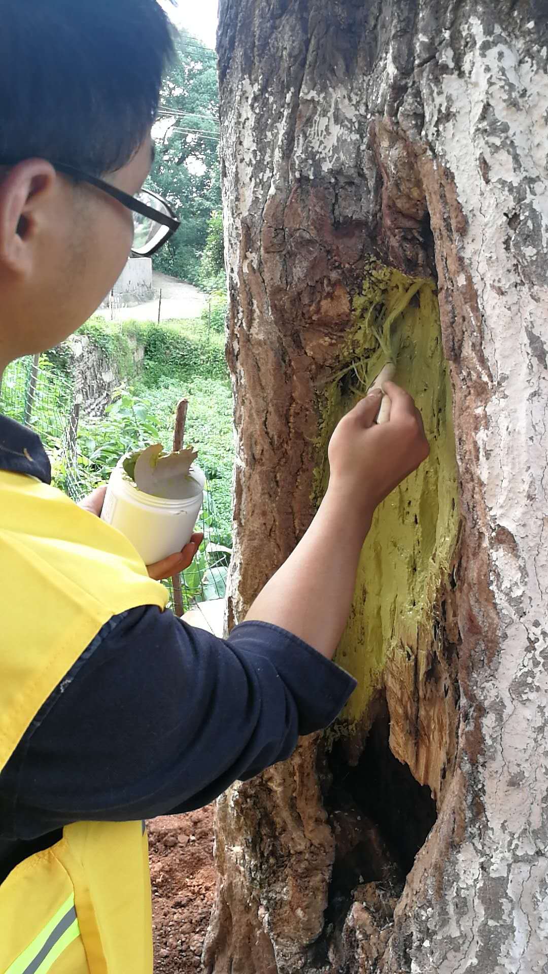 株洲植友职业培训学校有限公司_株洲园林绿化养护|株洲绿化管理|病虫害防治哪里的好|株洲园林绿化工程公司|白蚁防治病虫害治理